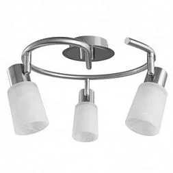 Светильник спот Arte Lamp CAVALLETTA Серебристый A4510PL-3SS