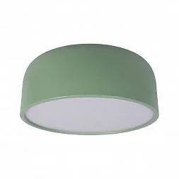 Потолочный светильник LOFT IT Axel 10201/350 Green