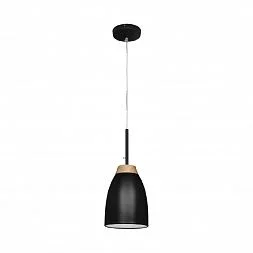 Подвесной светильник LOFT IT Watchman LOFT4402A-BL