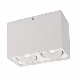 Светильник SP-CUBUS-S100x200-2x11W Warm3000 (WH, 40 deg, 230V) (Arlight, IP20 Металл, 3 года)