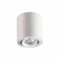 Потолочный накладной светильник Odeon Light 3567/1C