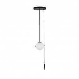 Светильник на штанге LOFT IT Signal 10029PS Black